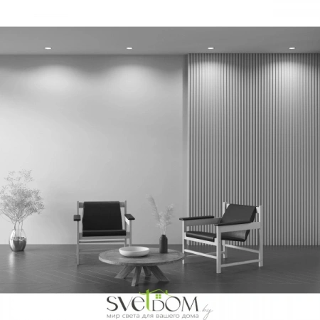 Встраиваемые светильники Maytoni DL028-2-01B от Магазина Svetdom.by