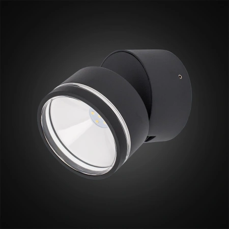 Уличный настенный светильник Citilux GARDA CLU0008R CITILUX