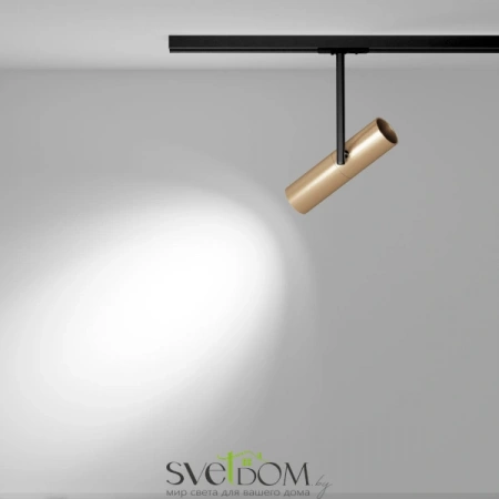 TR005-1-GU10-BG Maytoni