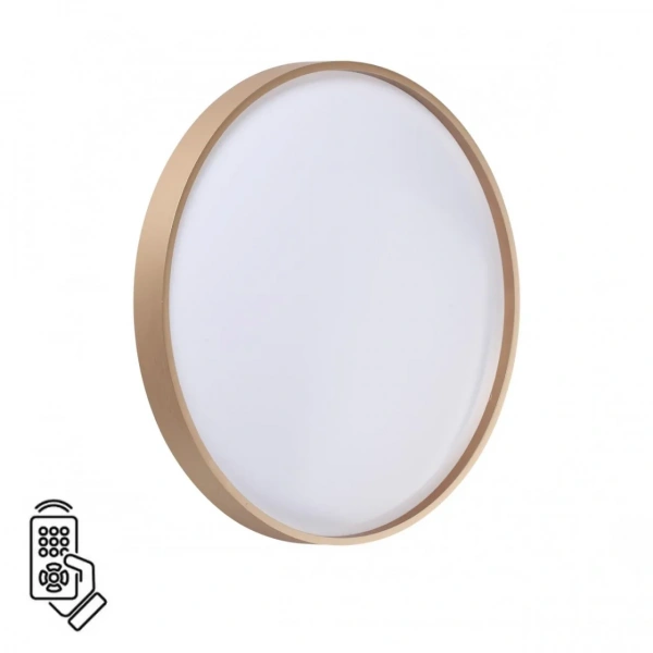 Настенно-потолочные светильники SONEX 7783/DL от Магазина Svetdom.by