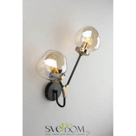 Настенные светильники OML-95101-02 Omnilux | Svetdom.by