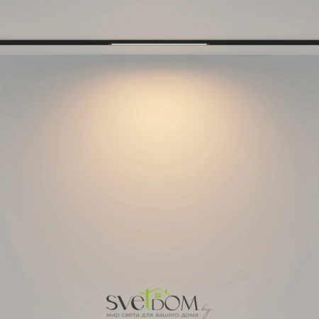 TR173-1-8WTW-B Maytoni