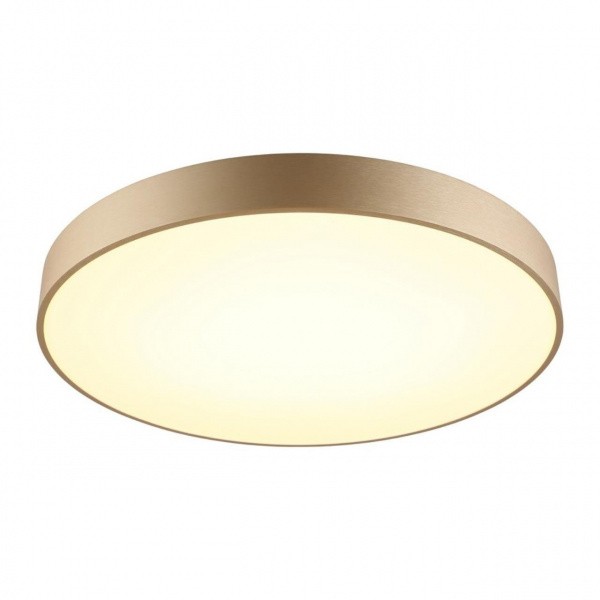 Настенно-потолочные светильники Aployt APL.023.07.68 от Магазина Svetdom.by