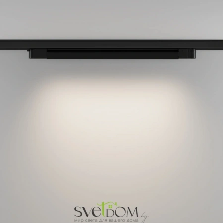 TR196-3-20W4K-B Maytoni