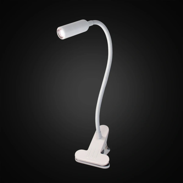 Лампа на прищепке Citilux Ньютон CL803060N CITILUX