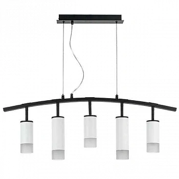 Lightstar LR7353638621 Люстра RULLO 5х50W GU10 ЧЕРНЫЙ/БЕЛЫЙ (571735+214436-3+214486-2+202431-5)