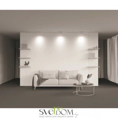 Потолочные светильники Maytoni C017CL-02W от Магазина Svetdom.by