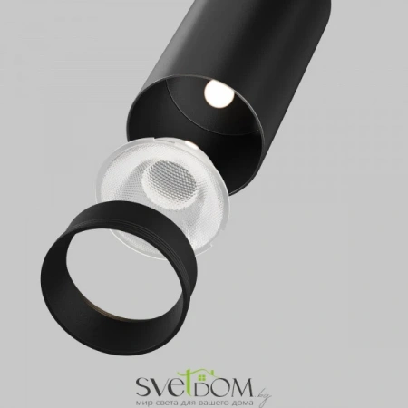 Потолочные светильники Maytoni C055CL-L12W2.7K-SS-B от Магазина Svetdom.by