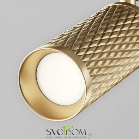 TR011-1-GU10-G Maytoni