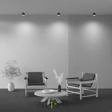 Потолочные светильники Maytoni C009CW-L12B от Магазина Svetdom.by