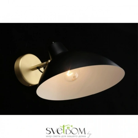 Настенные светильники APL.632.01.01 Aployt | Svetdom.by