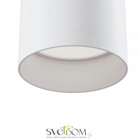 Фото Потолочные светильники Maytoni C010CL-01W Потолочные светильники Maytoni C010CL-01W от Магазина Svetdom.by