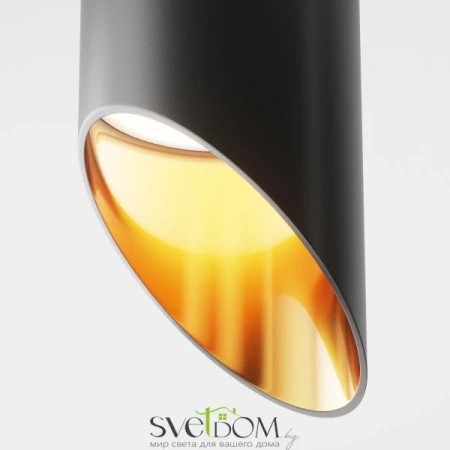 Потолочный светильник Technical C044CL-01-15GU10-B Maytoni