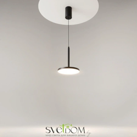 Подвесные светильники Maytoni P076PL-L12W4K-B от Магазина Svetdom.by