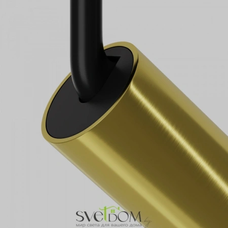 TR032-2-12W4K-M-BBS Maytoni