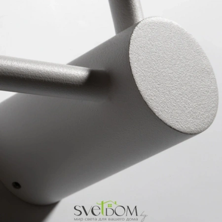Настенные светильники FR5363WL-02W1 Freya | Svetdom.by
