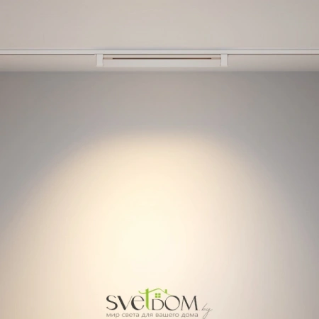 TR010-1-20W4K-M-W Maytoni