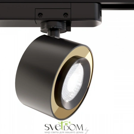 Светильники Maytoni TR023-1-12B4K от Магазина Svetdom.by