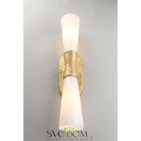 Настенные светильники APL.800.01.02 Aployt | Svetdom.by