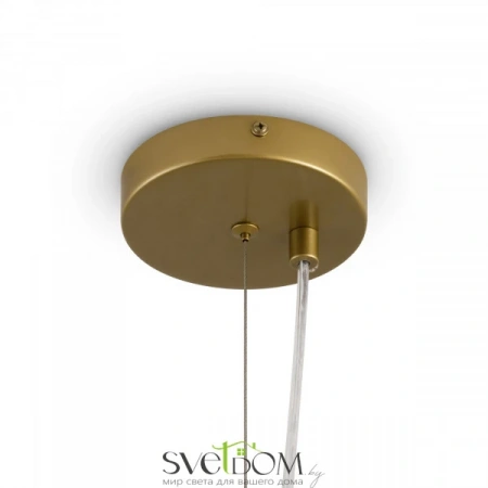 Потолочные светильники Freya FR5584CL-L45G от Магазина Svetdom.by