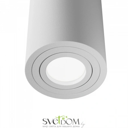 Фото Потолочные светильники Maytoni C016CL-01W Потолочные светильники Maytoni C016CL-01W от Магазина Svetdom.by
