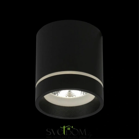 Накладные светильники Aployt APL.0044.19.05 от Магазина Svetdom.by