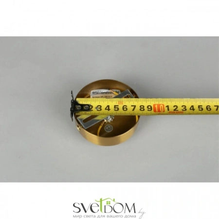 Подвесные светильники Aployt APL.339.16.01 от Магазина Svetdom.by