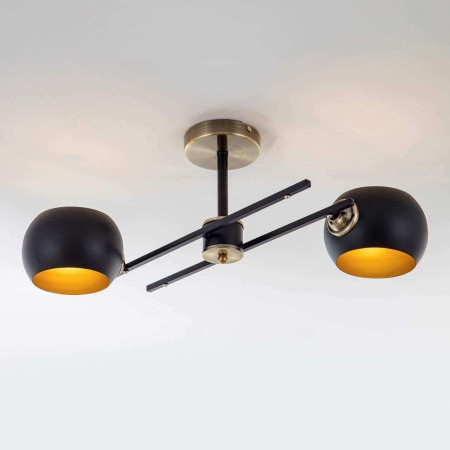 Потолочные светильники MODELUX MD.5171.2 от Магазина Svetdom.by