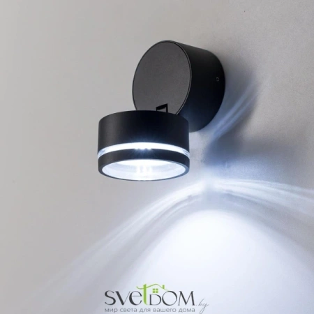 Citilux CLU0008R LED Уличный светильник поворотный Графит CITILUX