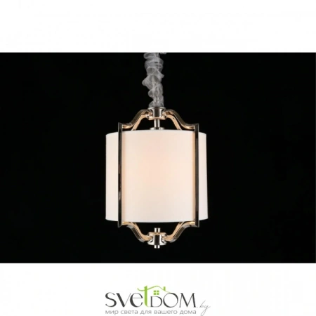 Подвесные светильники Aployt APL.727.06.01 от Магазина Svetdom.by