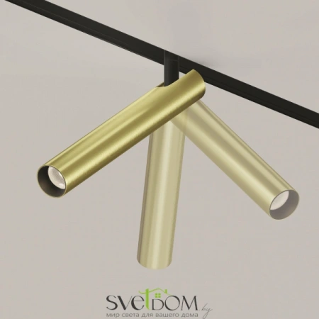 TR141-2-6W3K-M-BS Maytoni