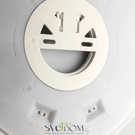 Накладные светильники CITILUX CL748241 от Магазина Svetdom.by