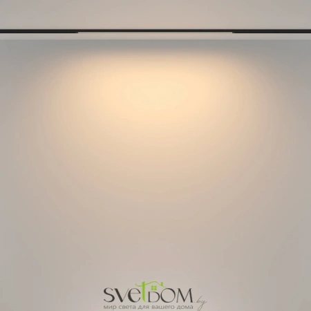 TR173-1-16WTW-B Maytoni