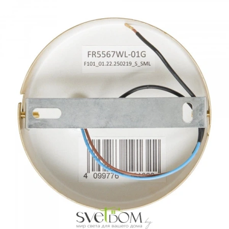 Настенный светильник (бра) Freya FR5567WL-01G Freya
