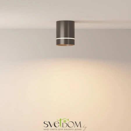 Потолочные светильники Maytoni C085CL-9W3K-B от Магазина Svetdom.by