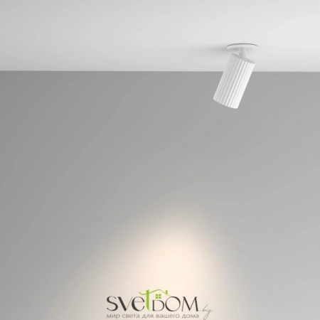 Встраиваемые светильники Maytoni C110CL-01-GU10-W от Магазина Svetdom.by