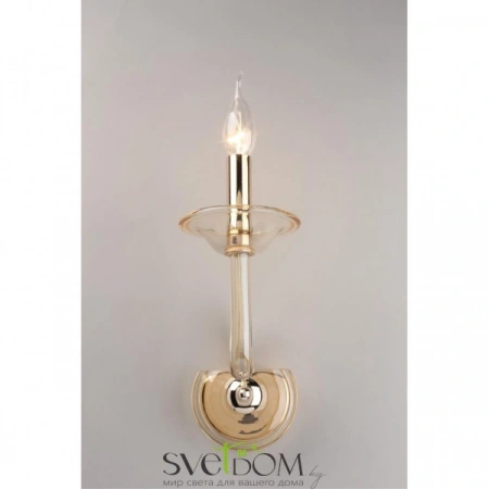 Настенные светильники APL.730.01.01 Aployt | Svetdom.by