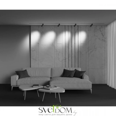 TR211-1-12W2.7K-Z-B Maytoni