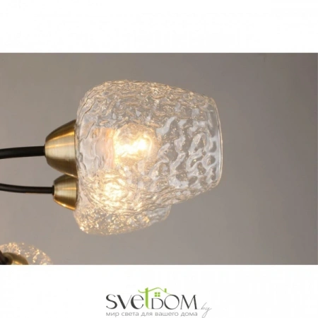 Люстры потолочныеOML-67807-08 Omnilux | Svetdom.by