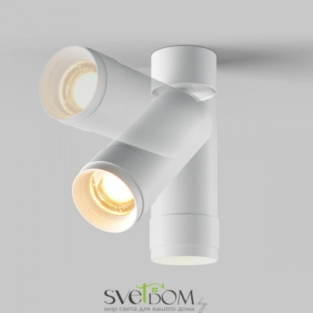 Потолочные светильники Maytoni C055CL-L12W2.7K-Z-W от Магазина Svetdom.by