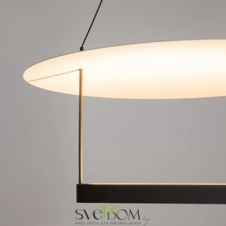 Подвесные светильники Maytoni MOD280PL-L23B3K от Магазина Svetdom.by