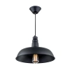 Подвесной светильник Citilux Эдисон CL450204 CITILUX