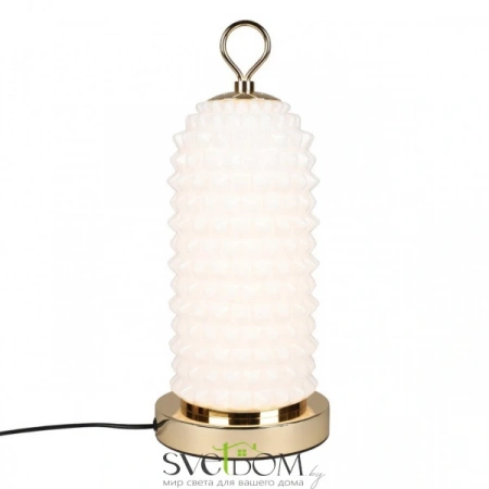 APL.332.04.10 Aployt