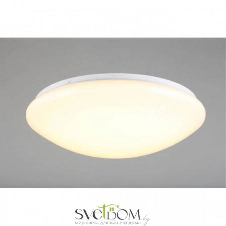 Люстры потолочныеOML-43007-40 Omnilux | Svetdom.by