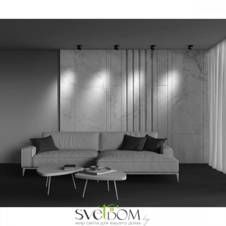 Потолочные светильники Maytoni C022CL-12W4K-B-1 от Магазина Svetdom.by