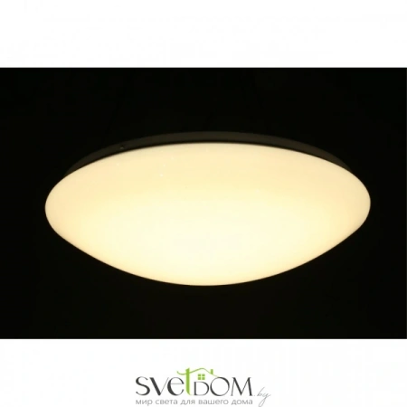 Люстры потолочныеOML-43007-40 Omnilux | Svetdom.by