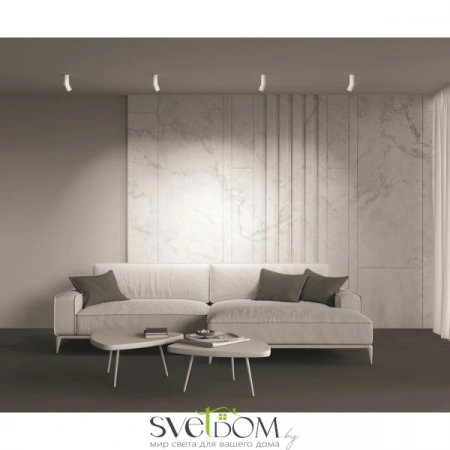 Потолочные светильники Maytoni C027CL-L10W от Магазина Svetdom.by