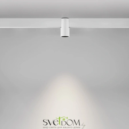 TR122-2-7W4K-W Maytoni