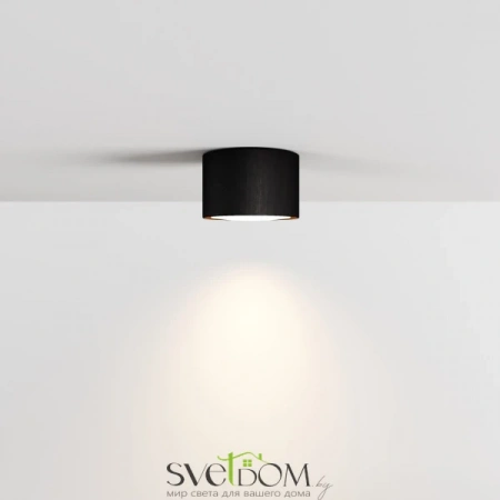 Потолочные светильники  LDL-007BW от Магазина Svetdom.by