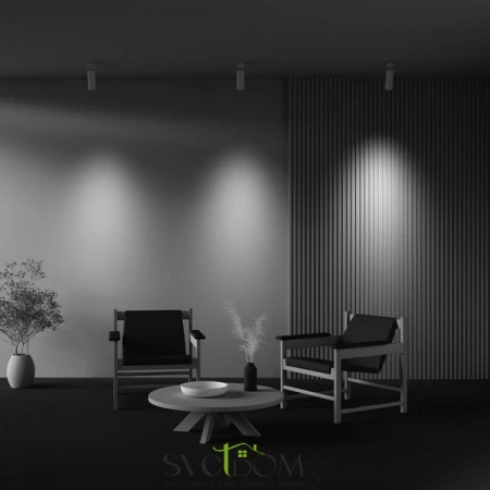 Потолочные светильники Maytoni C055CL-L20W2.7-3-4K-M-W от Магазина Svetdom.by